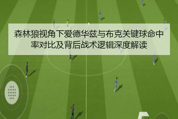 森林狼视角下爱德华兹与布克关键球命中率对比及背后战术逻辑深度解读